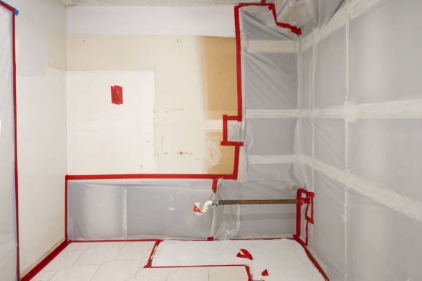 Mold Remediation for Rental Properties in Olympia, WA